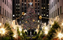 Chiêm ngưỡng cây thông Noel rực rỡ ánh đèn ở New York