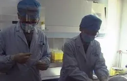 Trung Quốc: Thêm 4 ca nhiễm cúm gia cầm H7N9