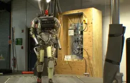 Robot mô phỏng cử chỉ của con người