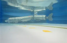 Phát triển thành công robot bơi lặn như cá