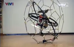 VIDEO: Robot bay vượt mọi chướng ngại vật