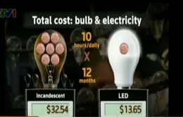 VIDEO: Đèn LED lên ngôi