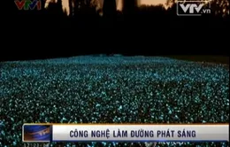 VIDEO: Con đường tự phát sáng trong đêm