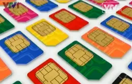 Hàng trăm nghìn sim chưa kích hoạt sắp bị thu hồi