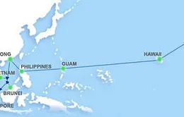 Internet có thể chập chờn trong 2 tháng tới