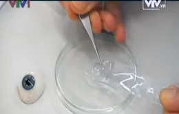 Chế tạo thành công mạch điện siêu nhỏ