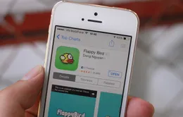 Vì sao Flappy Bird bị gỡ khỏi các gian ứng dụng ?