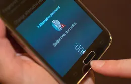 Smarphone mở khóa bằng vân tay: Chọn thiết bị nào?