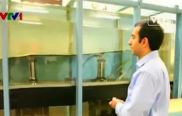 Sản xuất điện và nước sạch từ “thảm sóng”
