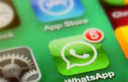 WhatsApp vượt mốc 500 triệu người dùng