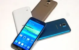 Giám đốc Thiết kế Samsung từ chức, Galaxy có “lột xác”?