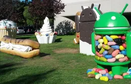 Phiên bản Android nào đang được sử dụng nhiều nhất?