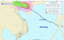Bão số 2 đã trực tiếp ảnh hưởng tới tỉnh Quảng Ninh