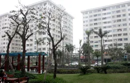 Các doanh nghiệp đẩy mạnh phát triển nhà ở xã hội