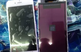 iPhone màn hình 5,5 inch sẽ có tên iPhone 6L?