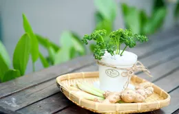 Cây cảnh gia vị: Ngon miệng, đẹp mắt