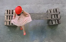 Johnny Trí Nguyễn làm BGK phim tài liệu