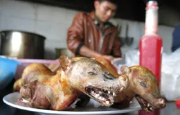 Nạn "xẻ thịt" thú rừng ở chùa Hương: Đã tìm ra giải pháp?