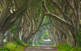 Ngắm bối cảnh đẹp mê hồn của phim truyền hình ăn khách Game of Thrones