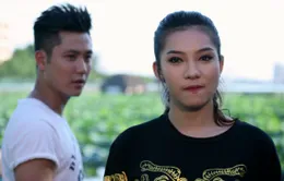 14h30, VTV3: Tập đầu tiên “Hoa nở trái mùa”