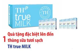 Truyền hình Cáp Việt Nam khuyến mãi đặc biệt