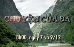 Độc và lạ với phim tài liệu “Chuyện của đá”