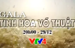 Gala Tinh hoa võ thuật – Tôn vinh nghệ thuật võ cổ truyền