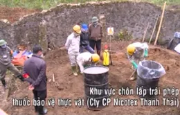 Hiệu ứng từ phim tài liệu Sự sống mong manh trên VTV2