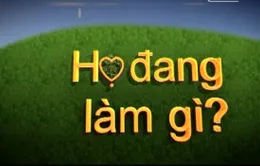 “Họ đang làm gì?” thu hút sự tham gia của người nổi tiếng