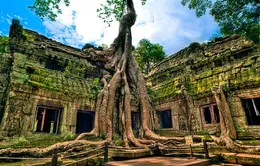 Những điểm du xuân hấp dẫn 2014