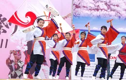 Chờ đón Lễ hội hoa anh đào 2014 tại Hà Nội