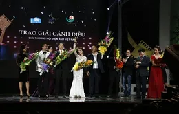 Cánh diều vàng 2013: "Thần tượng" và "Thuyền giấy" vút bay