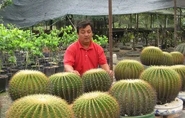 Sinh ra từ làng: Long xương rồng (18h30, VTV6)