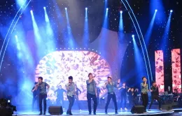 Mẫu đơn đăng kí cuộc thi Sao mai Điểm hẹn 2014