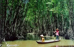 Sống khác: Rời giảng đường về Đất Mũi mò cua bắt ốc (18h30, VTV6)