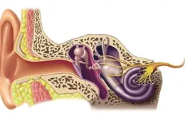 Những điều cần biết về rối loạn tiền đình