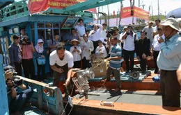 Chính sách mới hỗ trợ ngư dân bám biển - Bước ngoặt lớn cho hàng triệu ngư dân Việt