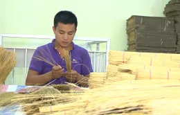 Sinh ra từ làng: Sản xuất tăm tre với doanh thu 3 tỷ/năm (17h20, VTV6)
