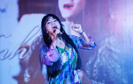 Xem lại liveshow Dấu ấn của ca sĩ Ngọc Ánh