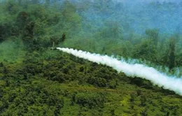 Gala Cuộc sống vẫn tươi đẹp: Câu chuyện thức tỉnh lòng người 