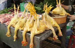 Vì sao giá gia cầm tăng đột ngột?