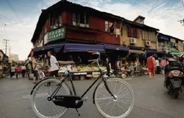 Xe đạp - một nét văn hóa ở Bắc Kinh