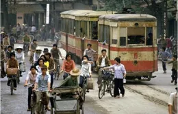 Hôm nay (24/1), xem gì trên VTV?