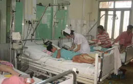 Bệnh sốt xuất huyết diễn biến phức tạp tại Khánh Hòa