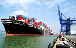 Chủ tịch nước thăm Tổng công ty Tân Cảng Sài Gòn.