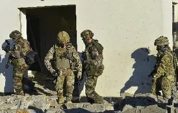 Afghanistan cấm quân đội yêu cầu NATO không kích hỗ trợ 