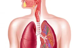 Nghiêm túc trong phòng và điều trị bệnh viêm phổi