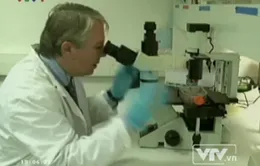 Thử nghiệm vaccine chống HIV