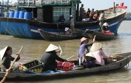 130 tỷ đồng hỗ trợ nghề cá ven biển