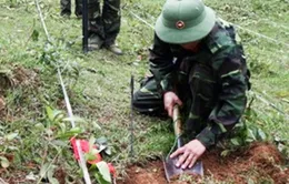 Hôm nay (4/4), ngày thế giới phòng chống bom mìn